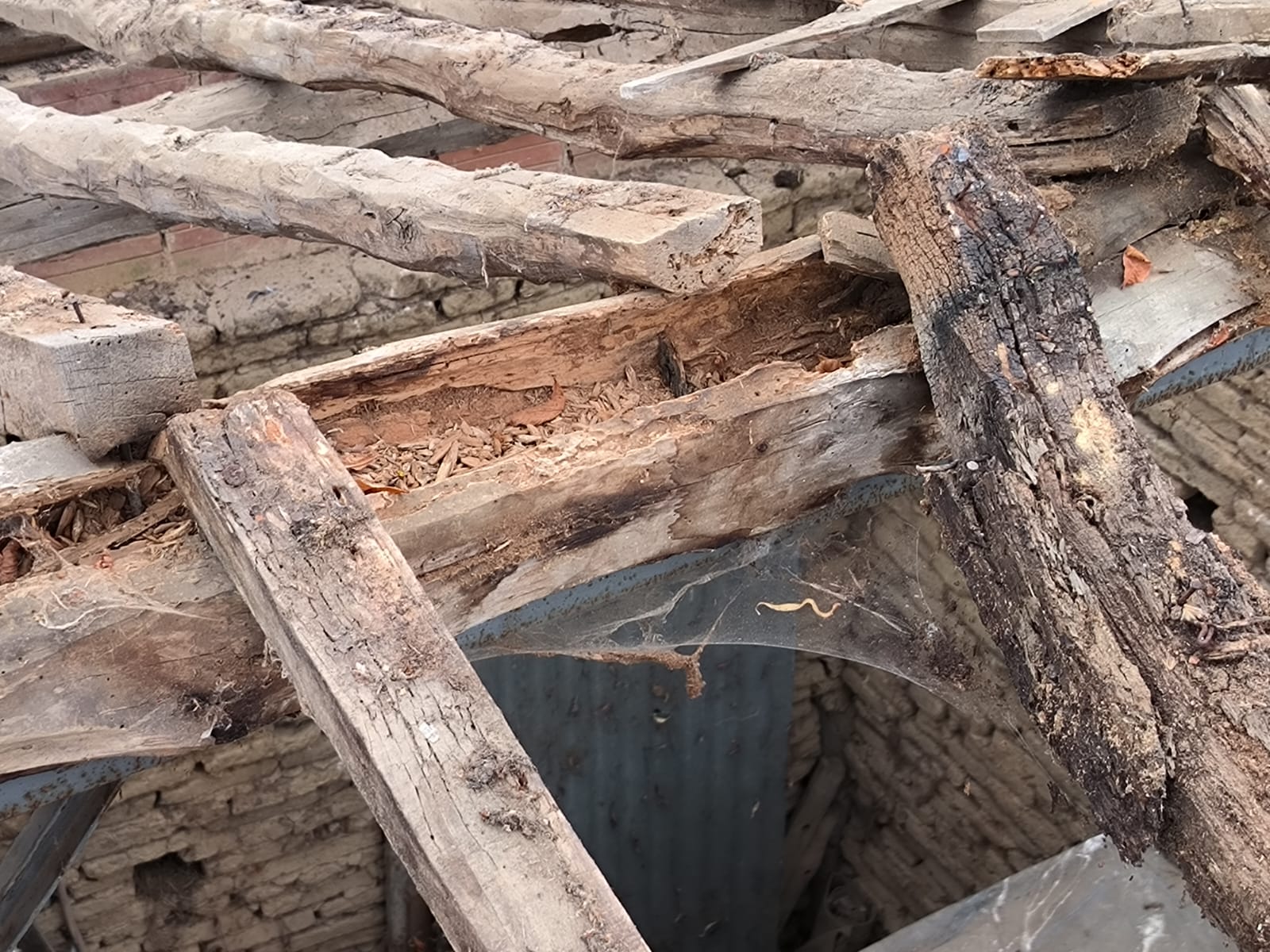 Réfection de charpente et couverture en tuiles médianes - Gaillac